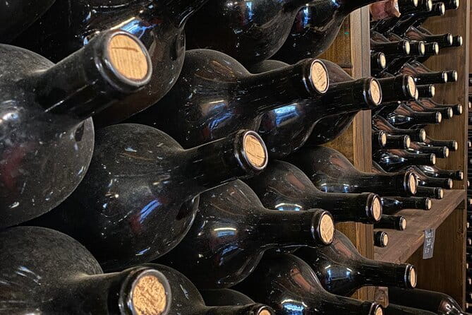 Fun wine tasting from our unique selection in the heart of Florence - Discover Unique Organic Wines in the Heart of Florence for $63.38