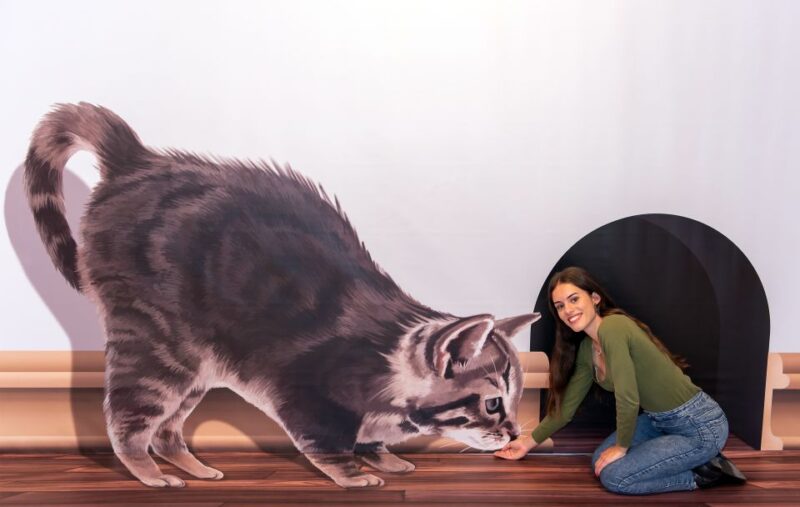 Funchal: 3D Fun Art Museum - The Experience of Visiting for Different Groups