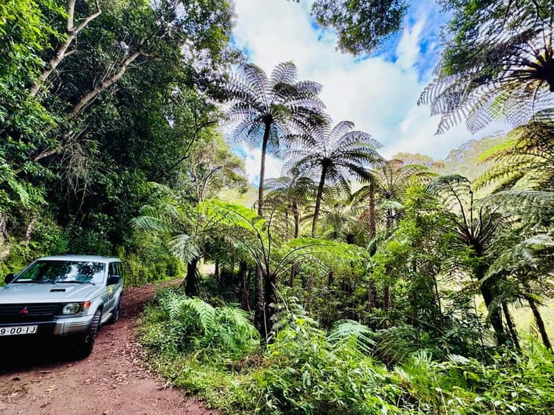 Funchal: 4x4 Jeep Trip to the East and Northeast of Madeira - Explore Madeira’s East and Northeast in a 4x4 Jeep for a Full Day of Scenic Adventure