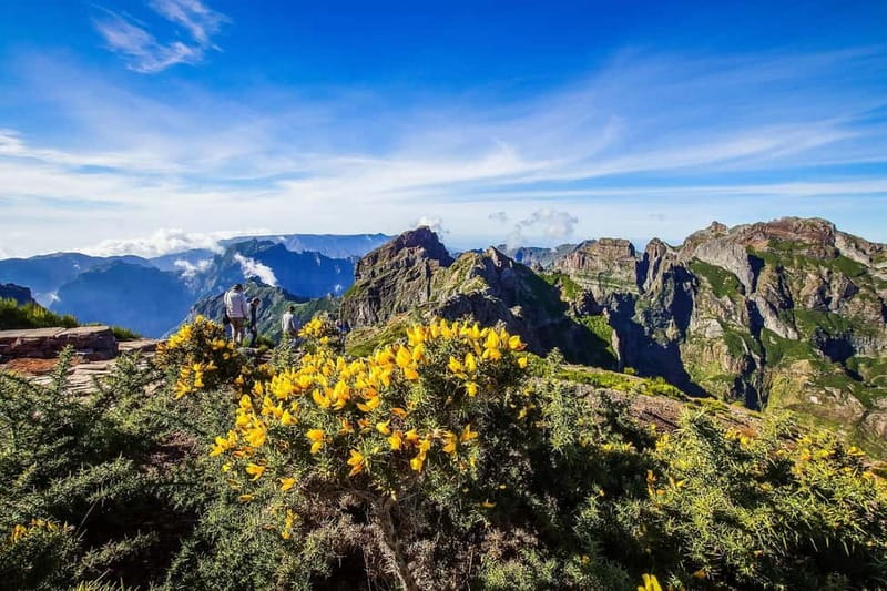 Funchal: 4x4 Jeep Trip to the East and Northeast of Madeira - Discover Curral das Freiras and Hidden Gems