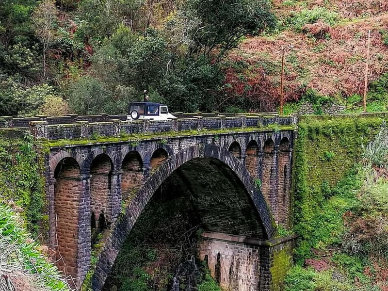 Funchal: 4x4 Jeep Trip to the East and Northeast of Madeira - Ribeiro Frio and the Levada Walk Experience
