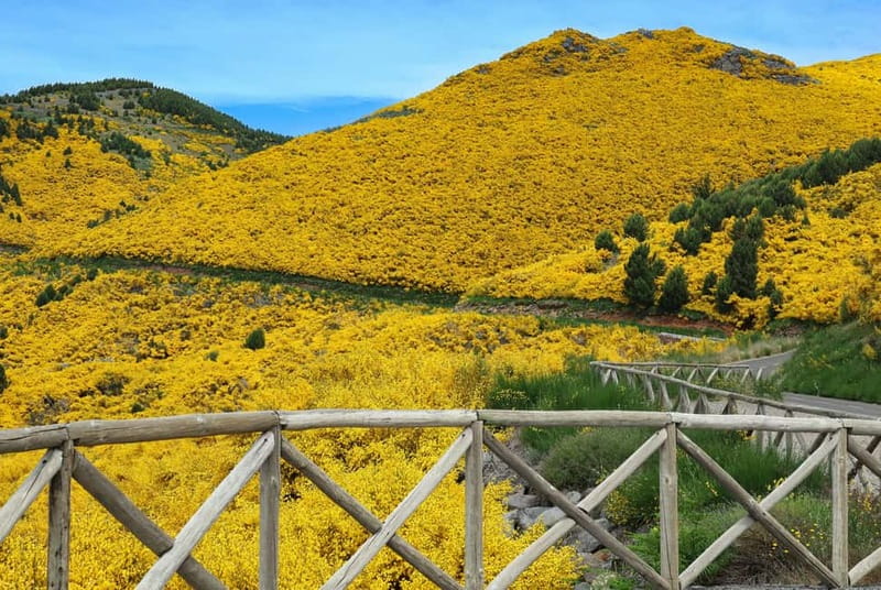 Funchal: 4x4 Jeep Trip to the East and Northeast of Madeira - Practical Details and Customization Options