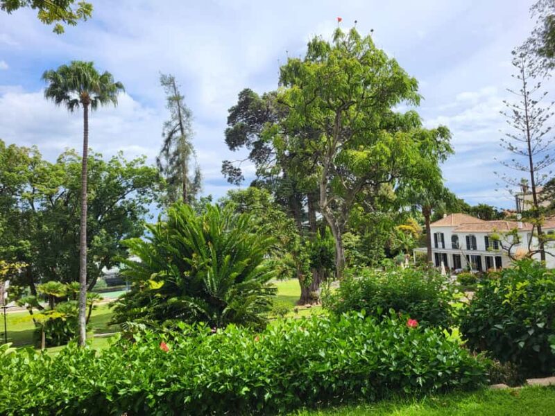 Funchal: A walk in a secret tropical garden - Exploring Madeira’s Secret Tropical Garden in Funchal