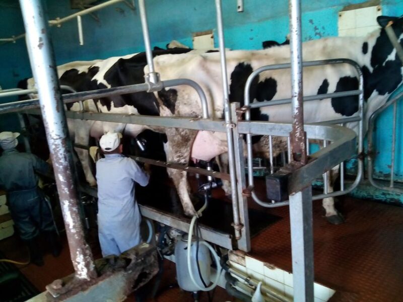 Funchal Agriculture Green Tour - Funchal Agriculture Green Tour: An In-Depth Look at Madeiras Farming Life for $100