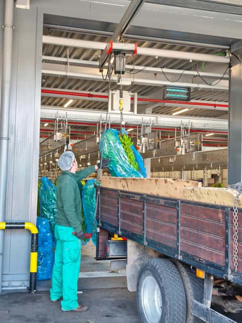 Funchal Agriculture Green Tour - Porto da Cruz and the Old Rum Factory