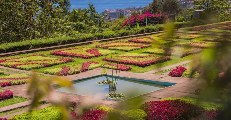 Funchal: Botanical Garden and Old Town Private Tuk-Tuk Tour - Starting in Funchal’s Old Town: Exploring Zona Velha