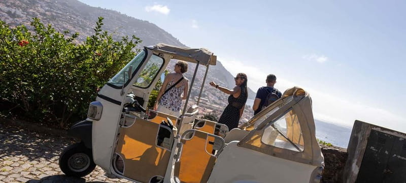 Funchal: Botanical Garden & Old Town Tour by TukTuk (1h45) - Who Should Consider This Tour
