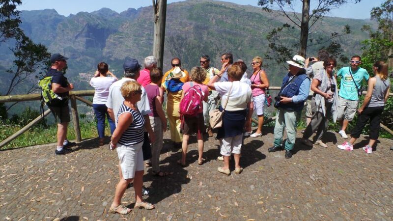 Funchal: Cabo Girão, Wines Tasting and Dolphins Watching - Madeira Wine Tasting at Henriques & Henriques