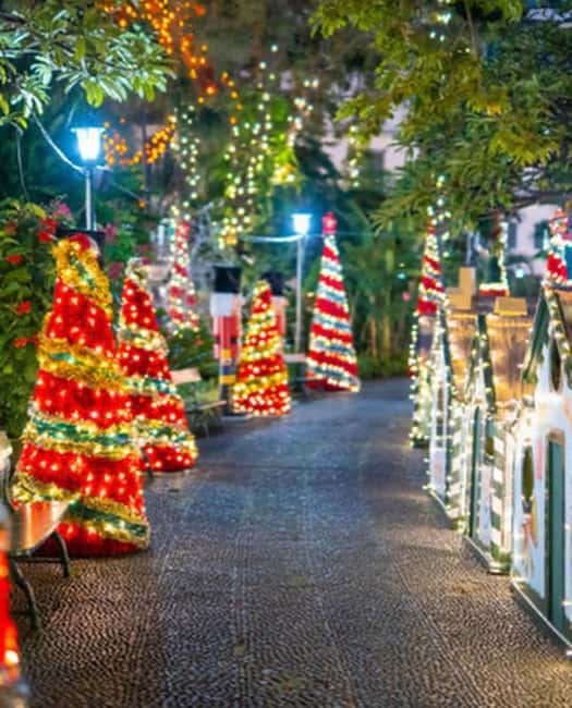 Funchal: Christmas Lights Tuk-Tuk Tour Experience by MadTuk - Key Points