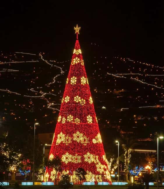 Funchal: Christmas Lights Tuk-Tuk Tour Experience by MadTuk - The Vibrant Christmas Lights and Photo Opportunities
