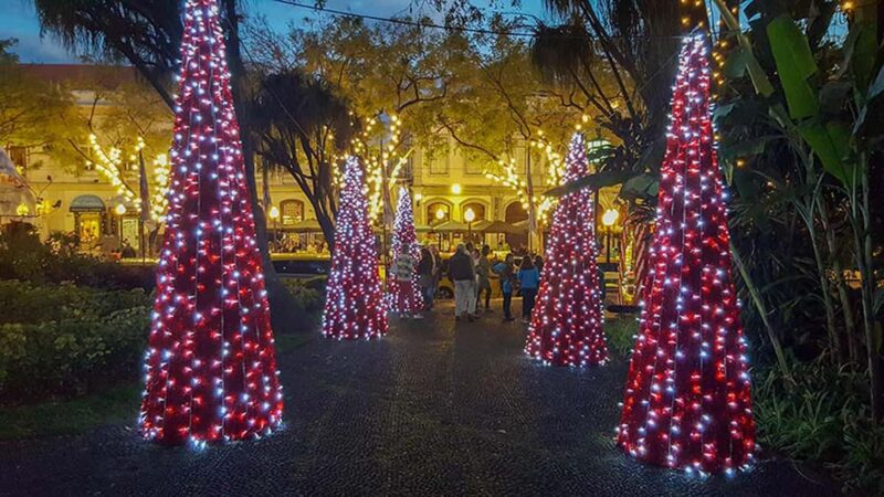 Funchal: Christmas Lights Tuk-Tuk Tour Experience by MadTuk - Safety and Restrictions to Keep in Mind
