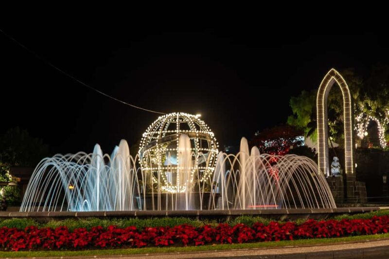 Funchal: Christmas Lights Tuk Tuk Tour - The Guide: Knowledgeable and Friendly