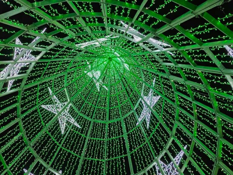 Funchal: Christmas Lights Tuk Tuk Tour - Comparing Similar Experiences