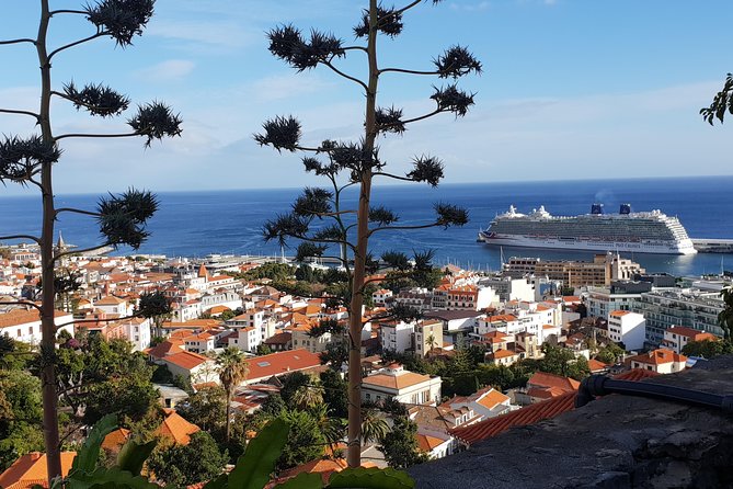 Funchal City Tour + Old Town - Old Town’s Painted Doors and Walls