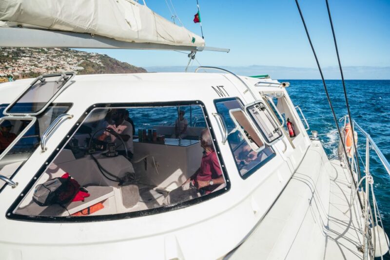Funchal: Dolphin and Whale Watching by Luxury Catamaran - The Experience on the Luxury Catamaran