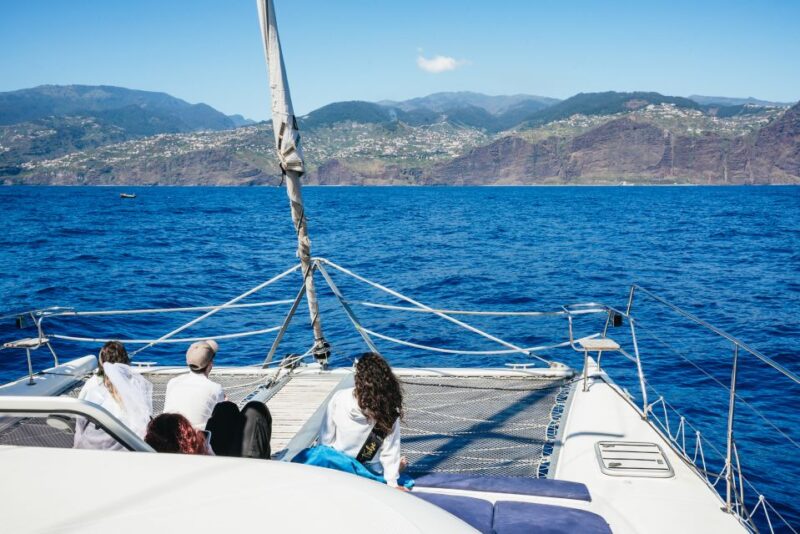 Funchal: Dolphin and Whale Watching by Luxury Catamaran - Navigating the Coastline and Viewing Points