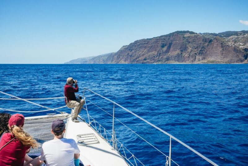 Funchal: Dolphin and Whale Watching by Luxury Catamaran - Food, Drinks, and Onboard Comforts