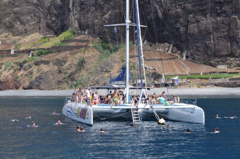 Funchal: Dolphin and Whale Watching Catamaran Cruise - Frequently Asked Questions