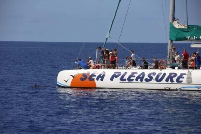 Funchal: Dolphin and Whale-watching Catamaran Tour - The Scenic Coastline and Coastal Views from the Catamaran