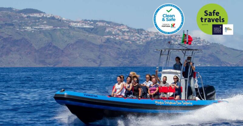 Funchal: Dolphin and Whale Watching Cruise - Key Points