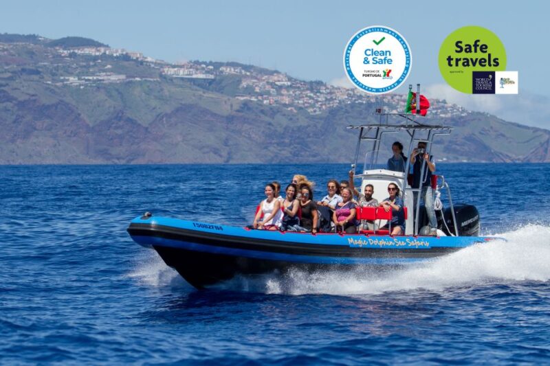 Funchal: Dolphin and Whale Watching Cruise - Meeting Point and Check-in Details at Magic Dolphin