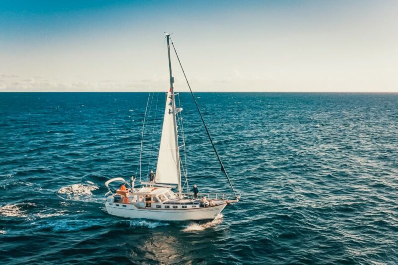 Funchal: Dolphin and Whale Watching Sailing Trip - The Experience of the Crew and Guides