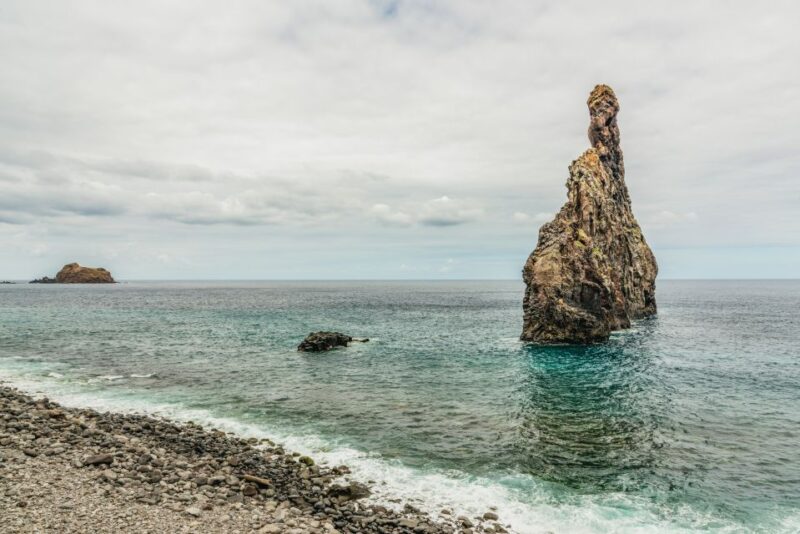 Funchal: Enchanted Terraces, Porto do Moniz & Fanal 4WD Tour - Madeira’s Scenic Beauty in a Comfortable Adventure