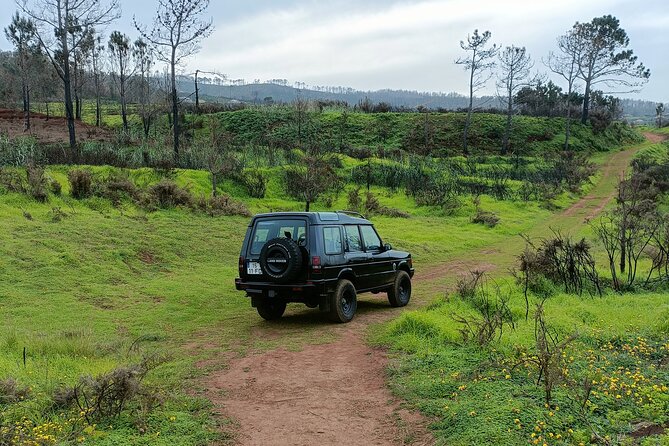 Funchal: Experiência 4WD Skywalk para Seixal Porto Moniz, Fanal - Key Points