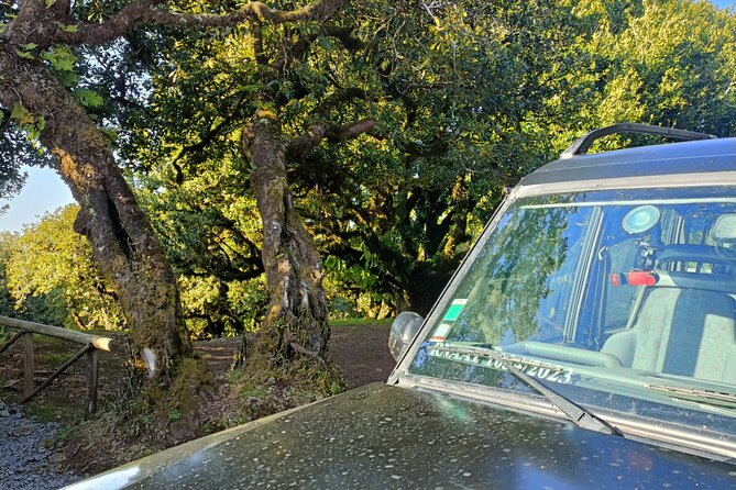 Funchal: Experiência 4WD Skywalk para Seixal Porto Moniz, Fanal - Practical Logistics and Small Group Experience
