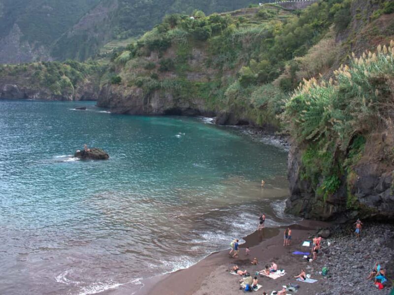 Funchal: Full Day 4x4, Fanal Mystic Forest and Levada walk - Visiting the Enchanting Fanal Forest and Its Ancient Trees