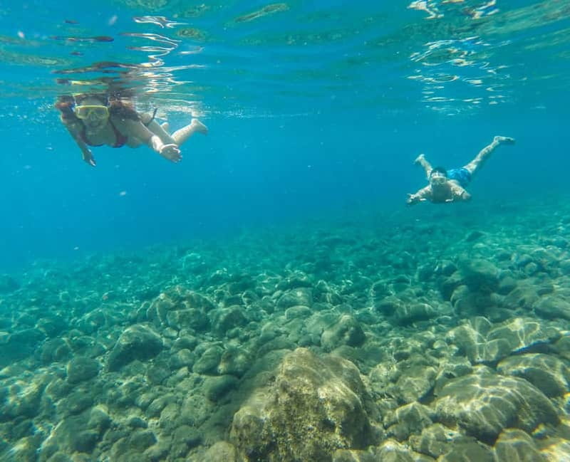 Funchal: Full-Day Fajãs Route Madeira Coastal Tour w/ Lunch - The Scenic Route from Funchal to Ponta do Pargo