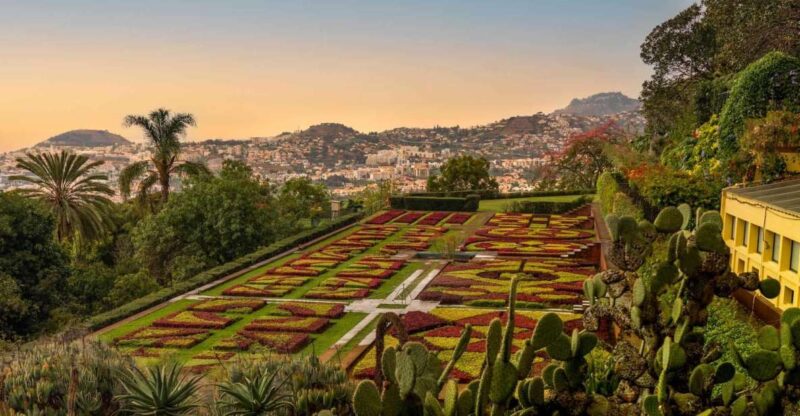 Funchal: Guided Old Town Tuk Tuk Tour and Botanical Gardens - Key Points