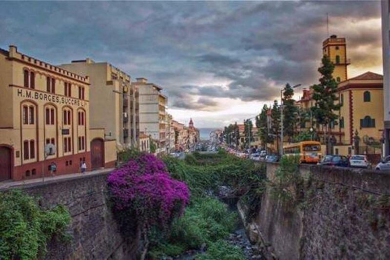 Funchal: H.M. Borges Winery Guided Tour with Wine Tasting - Tasting Different Styles of Madeira Wine