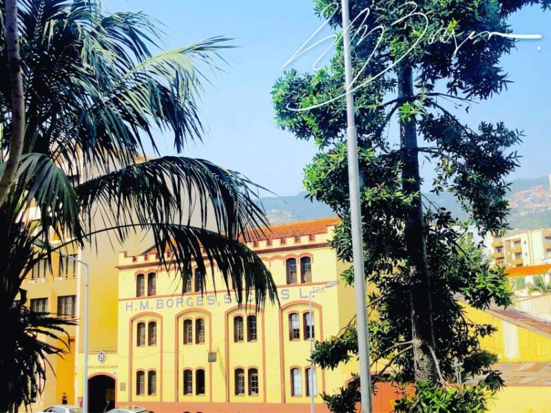 Funchal: H.M. Borges Winery Guided Tour with Wine Tasting - Frequently Asked Questions