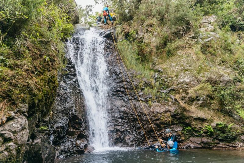 Funchal: Half-Day Beginner-Friendly Canyoning Experience - Key Points