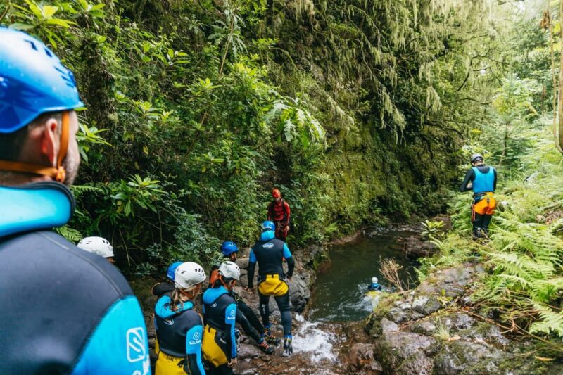 Funchal: Half-Day Beginner-Friendly Canyoning Experience - The Natural Obstacle Course: Jumping, Sliding, and Rappelling