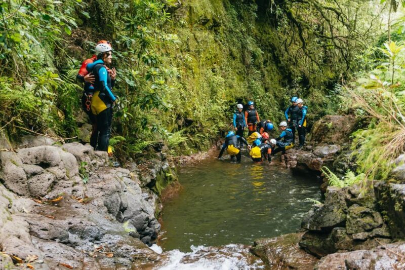 Funchal: Half-Day Beginner-Friendly Canyoning Experience - Logistics and Additional Options
