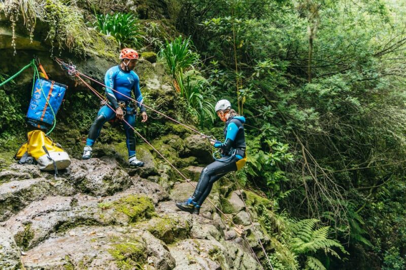 Funchal: Half-Day Beginner-Friendly Canyoning Experience - What Sets This Canyoning Tour Apart in Madeira