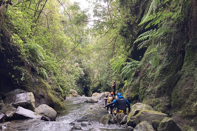 Funchal: Half-day Beginners Canyoning - What Makes This Canyoning Tour Ideal for Beginners