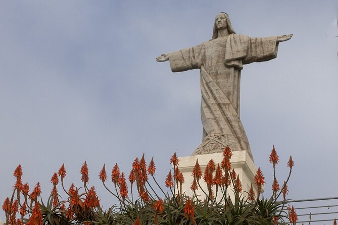 Funchal highlights 5h Private Tour in Madeira - Visiting Mercado dos Lavradores, the Heart of Funchal’s Flavors