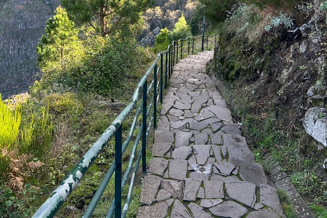 Funchal highlights 5h Private Tour in Madeira - Practical Details and Optional Extras