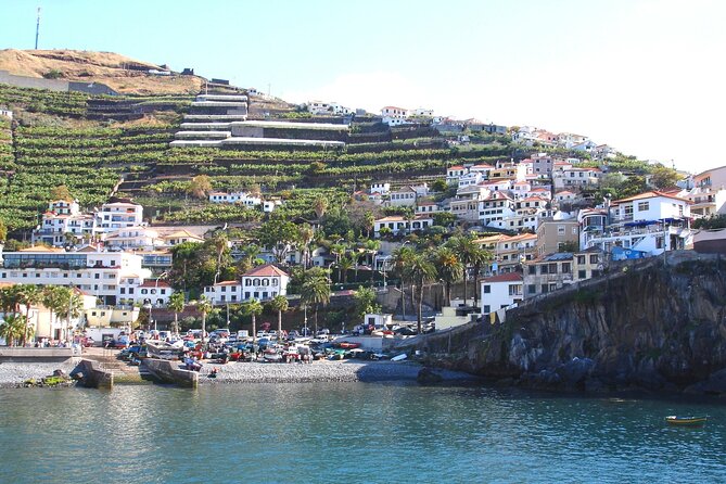 Funchal Hop-On Hop-Off Tour 3 in 1 - Who Will Enjoy This Tour Most?