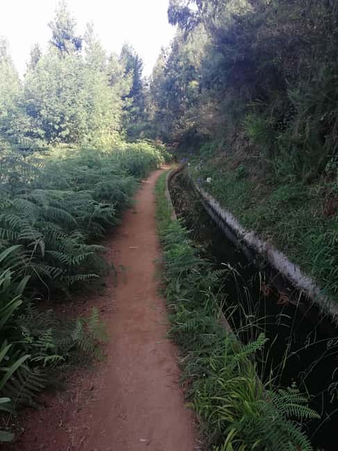 Funchal : Levada do Norte - Guided walk with transport - Explore Madeira’s Famous Levada do Norte with Guided Transport