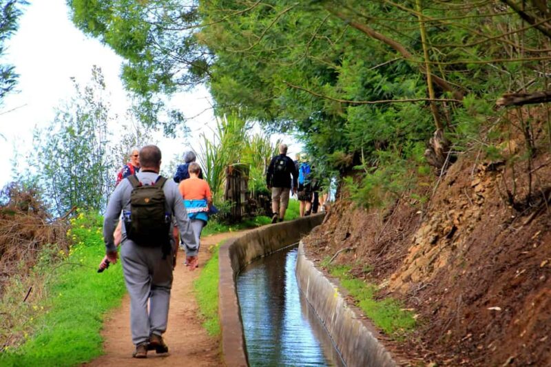 Funchal : Levada do Norte - Guided walk with transport - Key Points