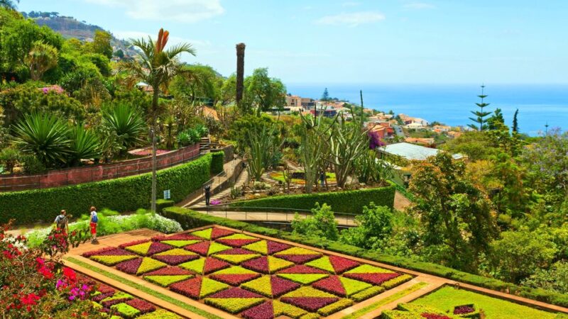 Funchal: Madeira Botanical Garden Tuk-Tuk Tour + Old Town - Key Points