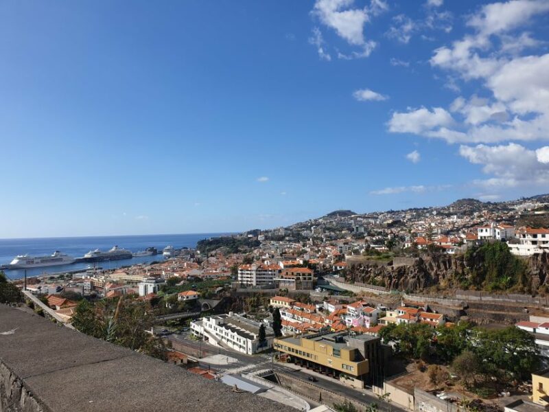 Funchal: Madeira Botanical Garden Tuk-Tuk Tour + Old Town - A Scenic Drive Through Funchal’s Hills