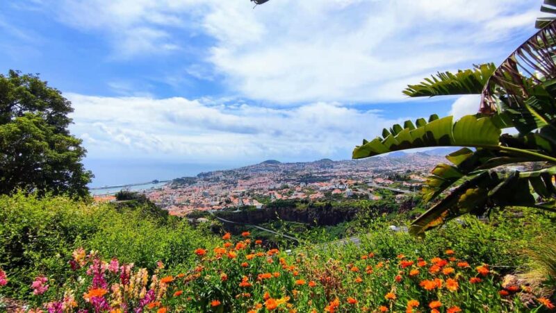 Funchal: Madeira Botanical Garden Tuk-Tuk Tour + Old Town - Discover the Madeira Botanical Gardens in Style