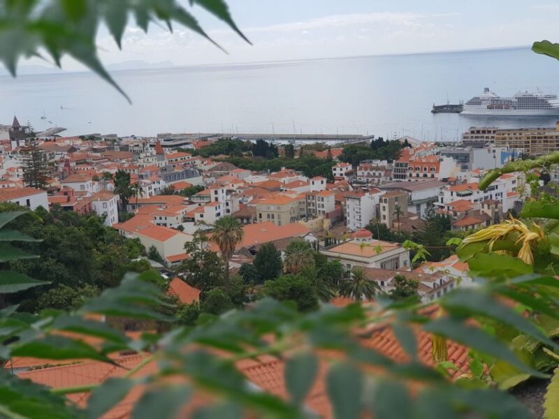Funchal: Monte and Old Town Tour by Tuk-Tuk - What’s Not Included and Practical Tips