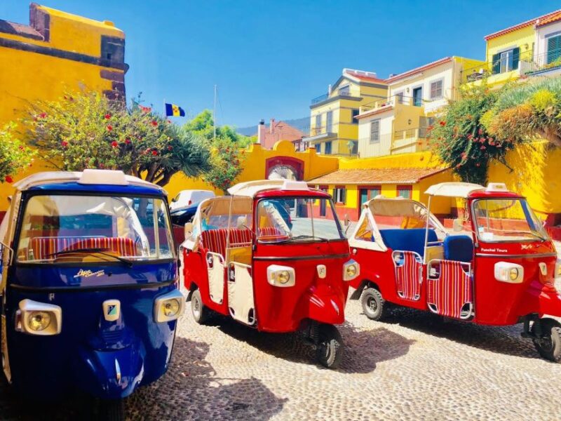 Funchal: Monte and Old Town Tour by Tuk-Tuk - Accessibility and Physical Considerations