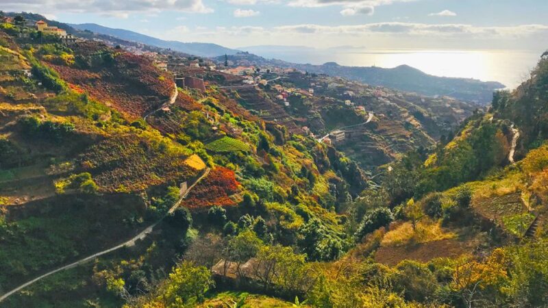 Funchal: Northern Levada Walking Tour - Views of the Ocean and Mountains From the Levada